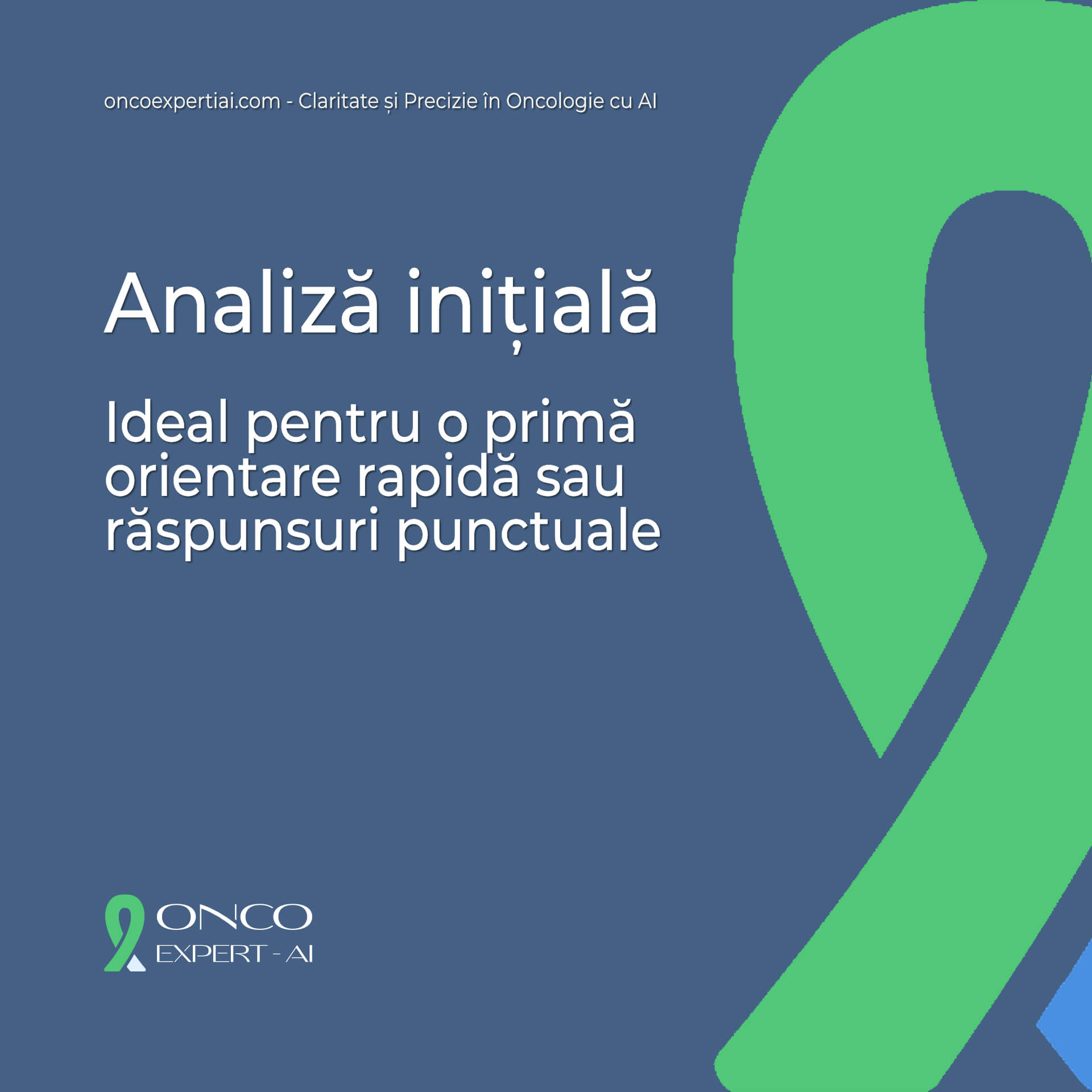 Analiza initiala